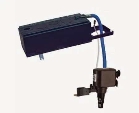 Cách Sử Dụng Máy Lọc Nước Bể Cá Hiệu Quả Cho Người Mới Bắt Đầu