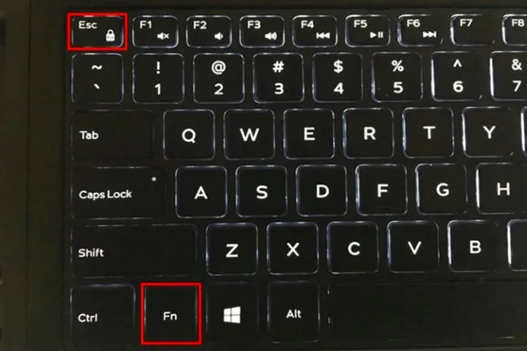Tổ hợp phím Fn và ESC trên bàn phím Dell để bật hoặc tắt chức năng Fn