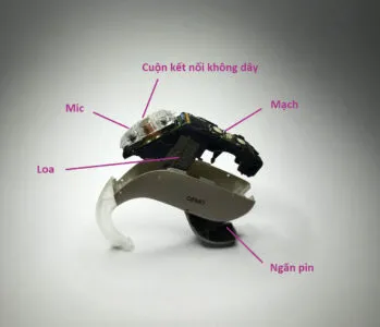 Sơ đồ cấu tạo các bộ phận chính bên trong một máy trợ thính hiện đại giúp tối ưu cách sử dụng máy trợ thính