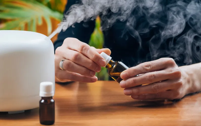 Các loại tinh dầu thiên nhiên được sử dụng với máy khuếch tán, giúp chọn lựa phù hợp cho nhu cầu cải thiện không gian sống.