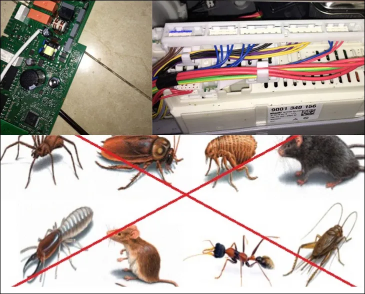 Dấu hiệu hư hỏng dây điện do côn trùng cắn phá, nguyên nhân phổ biến gây lỗi đếm từ Toshiba