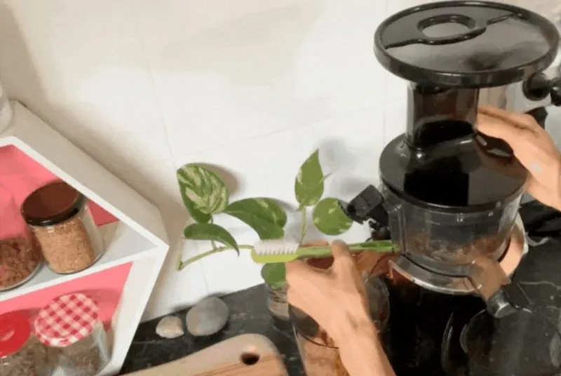 Sử dụng que đẩy để xử lý nguyên liệu bị kẹt trong máy ép chậm