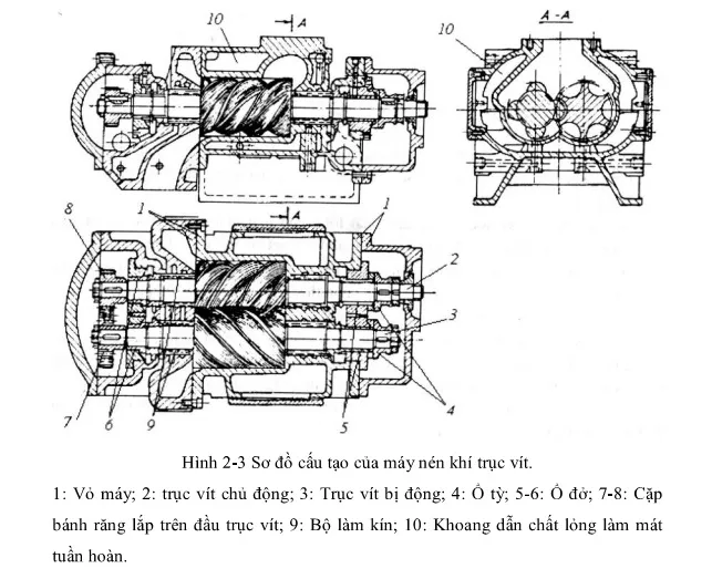 Cấu tạo chi tiết bên trong của **máy bơm hơi trục vít** với các bộ phận như cụm đầu nén, bình tách dầu và hệ thống làm mát.