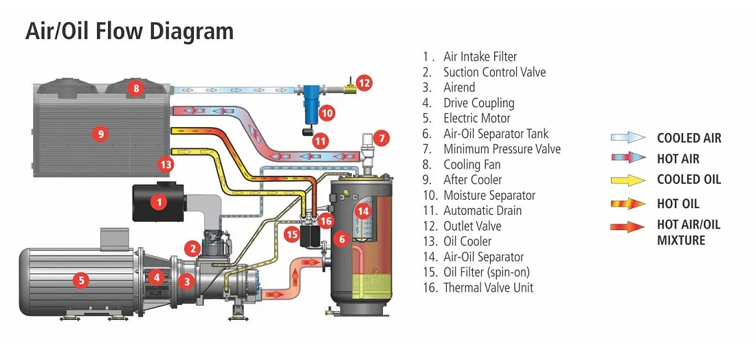 Cấu tạo chi tiết của máy nén khí trục vít có dầu