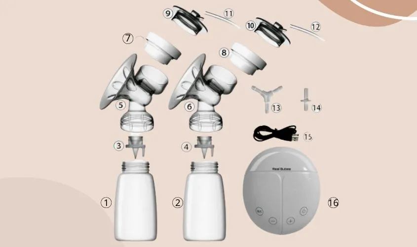 Sơ đồ cấu tạo chi tiết của máy hút sữa điện đôi Real Bubee giúp hiểu rõ allintitle:cách sử dụng máy hút sữa real bubee