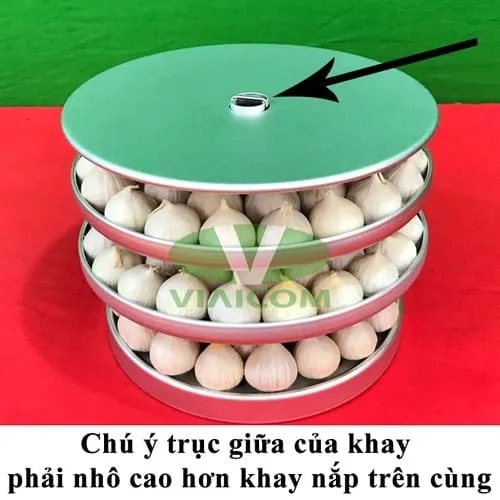 Hướng dẫn cách xếp tỏi đúng cách vào khay máy làm tỏi đen