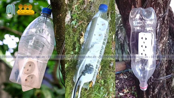 Chai nhựa tái chế làm vỏ bọc đèn LED ngoài trời, giải pháp tự chế bóng đèn bền đẹp