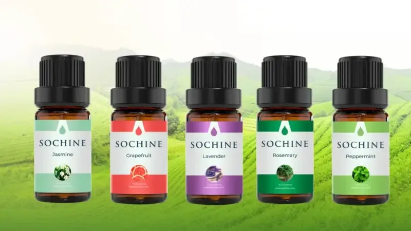 Chọn tinh dầu nguyên chất để sử dụng máy humidifier