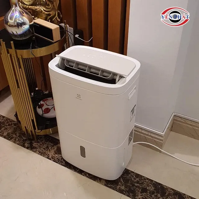 Vị trí đặt máy hút ẩm Electrolux đúng cách