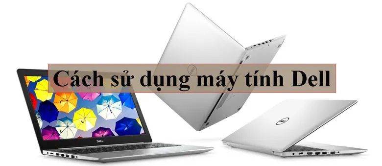 Người dùng tìm hiểu về các thông số kỹ thuật và dòng máy để tối ưu cách sử dụng máy tính Dell hiệu quả