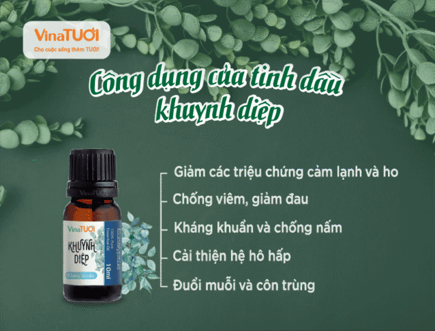 Cách Sử Dụng Máy Xông Tinh Dầu HaEva Hiệu Quả Nhất