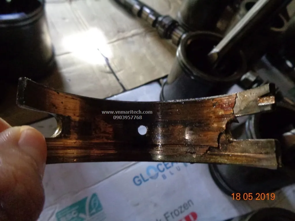 Cung cấp bạc trục bạc biên động cơ Diesel