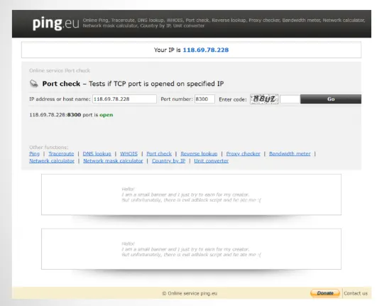 Mô tả hình ảnh: Kết quả kiểm tra cổng (port check) trên trang ping.eu/port-chk/, hiển thị trạng thái &quot;Open&quot; cho một cổng cụ thể, cho biết cổng đã được mở thành công.