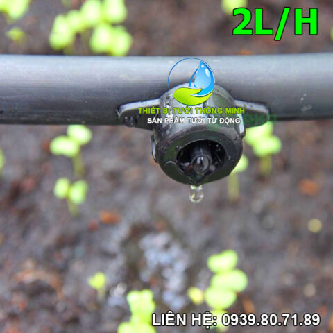 Béc tưới nhỏ giọt bù áp 2 lít/giờ tối ưu cho rau màu