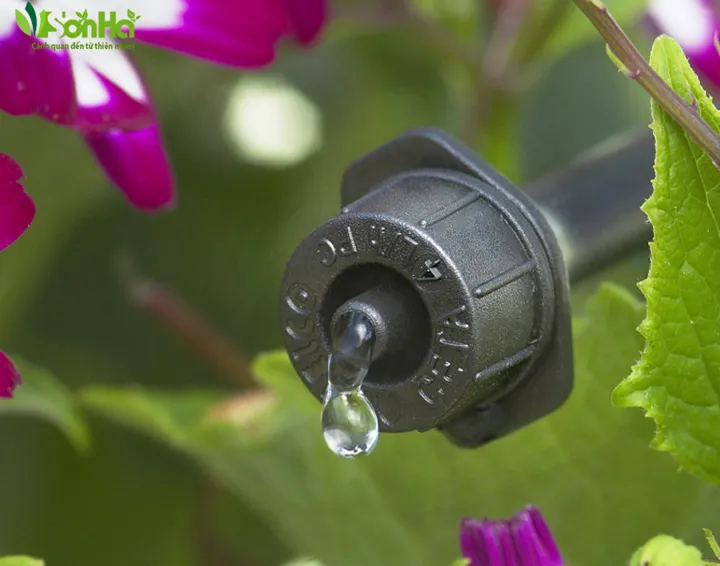 Đầu tưới nhỏ giọt hoạt động hiệu quả, cung cấp nước trực tiếp đến gốc cây
