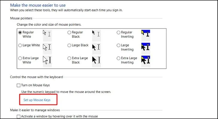 Mở Set up Mouse Keys để cài đặt chi tiết cách sử dụng máy tính bàn không dùng chuột