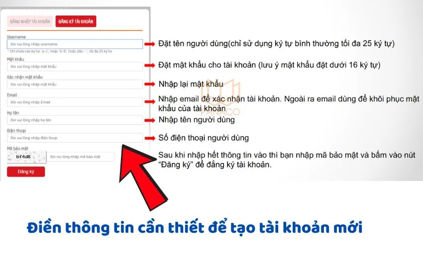 Điền thông tin đăng ký CameraDDNS.net