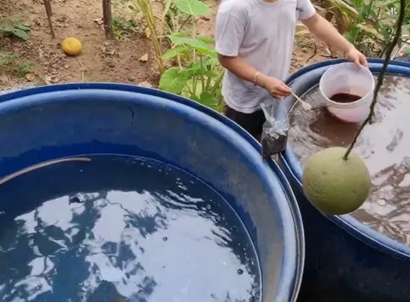 Các phương pháp điều chỉnh hóa lý nước giếng khoan, tối ưu hóa môi trường cho cách lọc nước giếng khoan nuôi cá