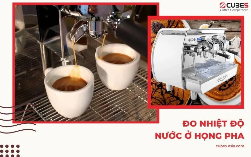 Đo nhiệt độ nước ở họng pha để đảm bảo chất lượng chiết xuất cà phê