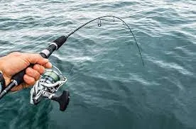 Hướng dẫn chi tiết cách sử dụng cần câu máy cho người mới bắt đầu câu cá