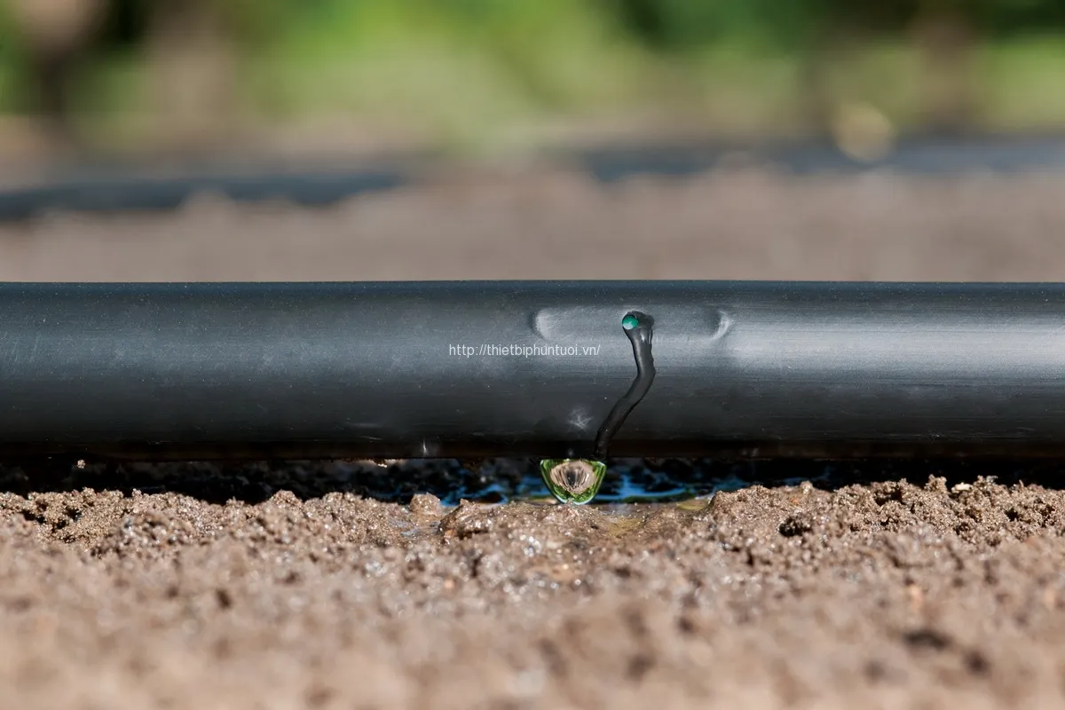 Hệ thống tưới nhỏ giọt tự động, giải pháp hiệu quả cho quản lý nước thông minh