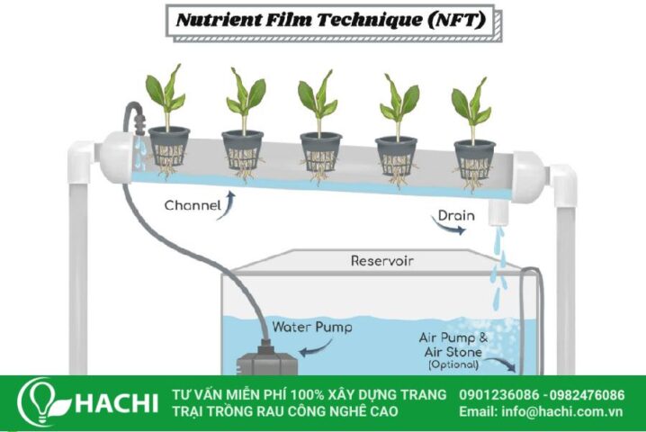 Tự Lắp Hệ Thống Thủy Canh: Hướng Dẫn Chi Tiết Từ A Đến Z