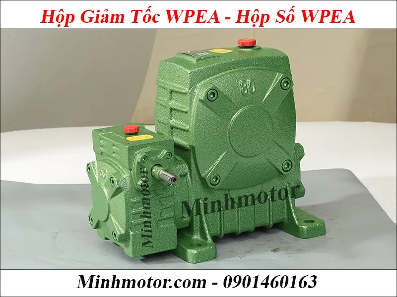 Hộp giảm tốc trục vít bánh vít 2 cấp WPEA màu xanh, với trục vào ở dưới thấp, thiết kế nhỏ gọn, phù hợp với các hệ thống băng tải