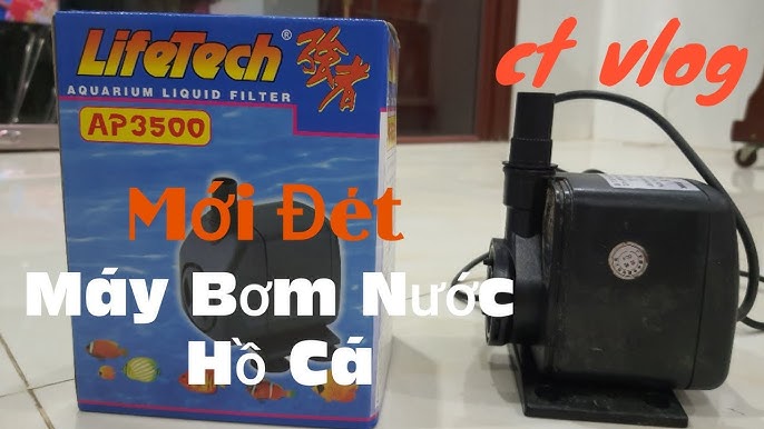Cách Lắp Máy Bơm Lifetech AP3500 Chuẩn Xác Và Hiệu Quả Nhất Cách Lắp Máy Bơm Lifetech AP3500 Chuẩn Xác Và Hiệu Quả Nhất