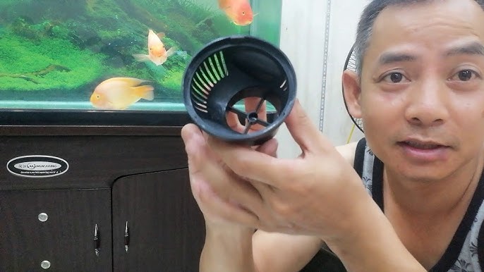 Cách Sửa Máy Bơm Bể Cá Cảnh Hiệu Quả Tại Nhà: Hướng Dẫn Chi Tiết