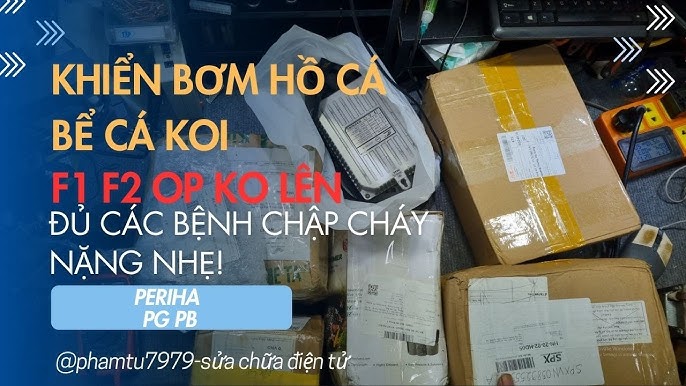 Cách Sửa Máy Bơm Bể Cá Cảnh Hiệu Quả Tại Nhà: Hướng Dẫn Chi Tiết Cách Sửa Máy Bơm Bể Cá Cảnh Hiệu Quả Tại Nhà: Hướng Dẫn Chi Tiết