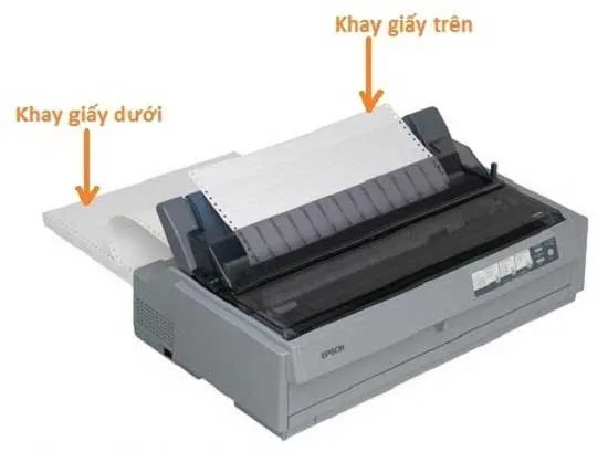Khay giấy máy in Epson LQ 310