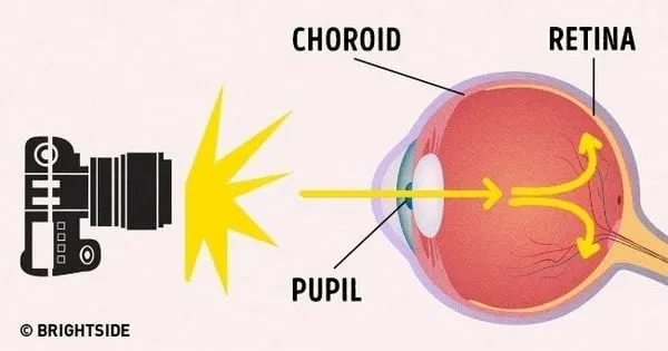 Cài đặt giảm mắt đỏ khi mở đèn flash máy ảnh Canon