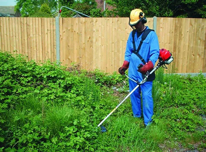 Cách sử dụng máy cắt cỏ 2 thì