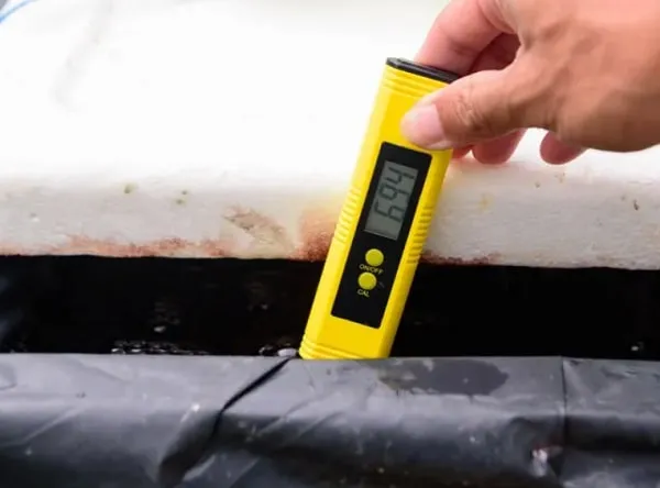 Khắc phục các lỗi thường gặp khi sử dụng máy đo ph, bao gồm sai số lớn