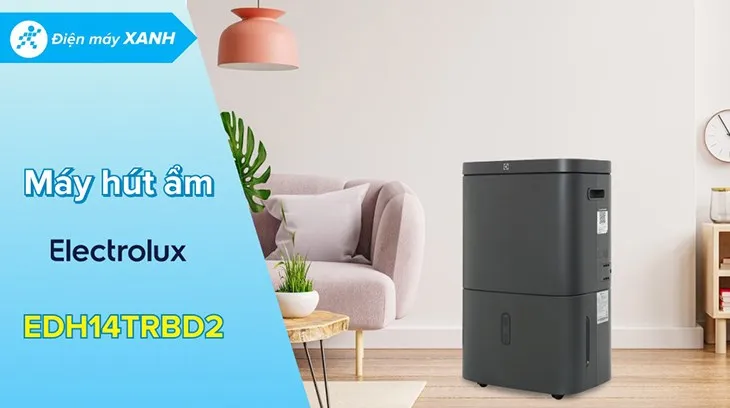 Sử dụng máy hút ẩm Electrolux EDH14TRBD2 hiệu quả trong thời tiết nồm ẩm, góp phần sử dụng máy hút ẩm đúng cách