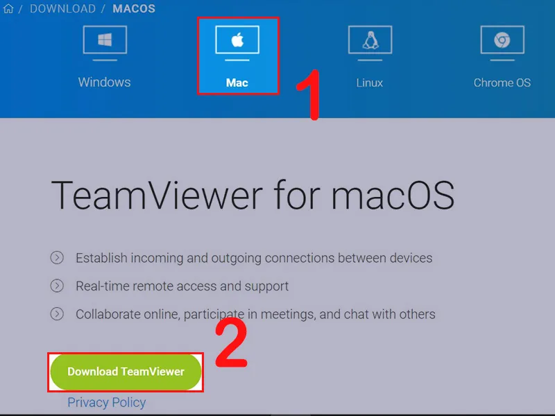 Trang tải TeamViewer cho hệ điều hành macOS, nhấn nút Download TeamViewer
