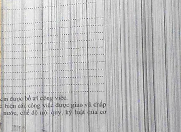 Lỗi bản photo có vệt dọc, ngang khi sử dụng chế độ duplex trên Ricoh 2075