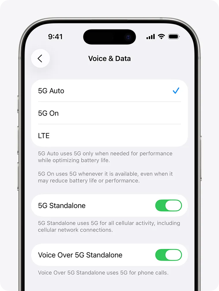 Cài đặt thoại và dữ liệu trên iPhone, đại diện cho việc điều chỉnh chi tiết các thông số kỹ thuật khi tự lên lắp cái bộ.