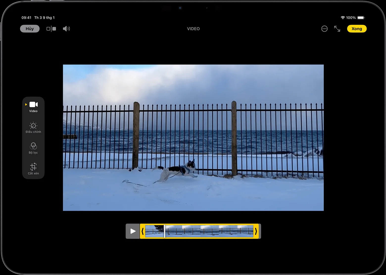 iPad hiển thị video trong chế độ chỉnh sửa