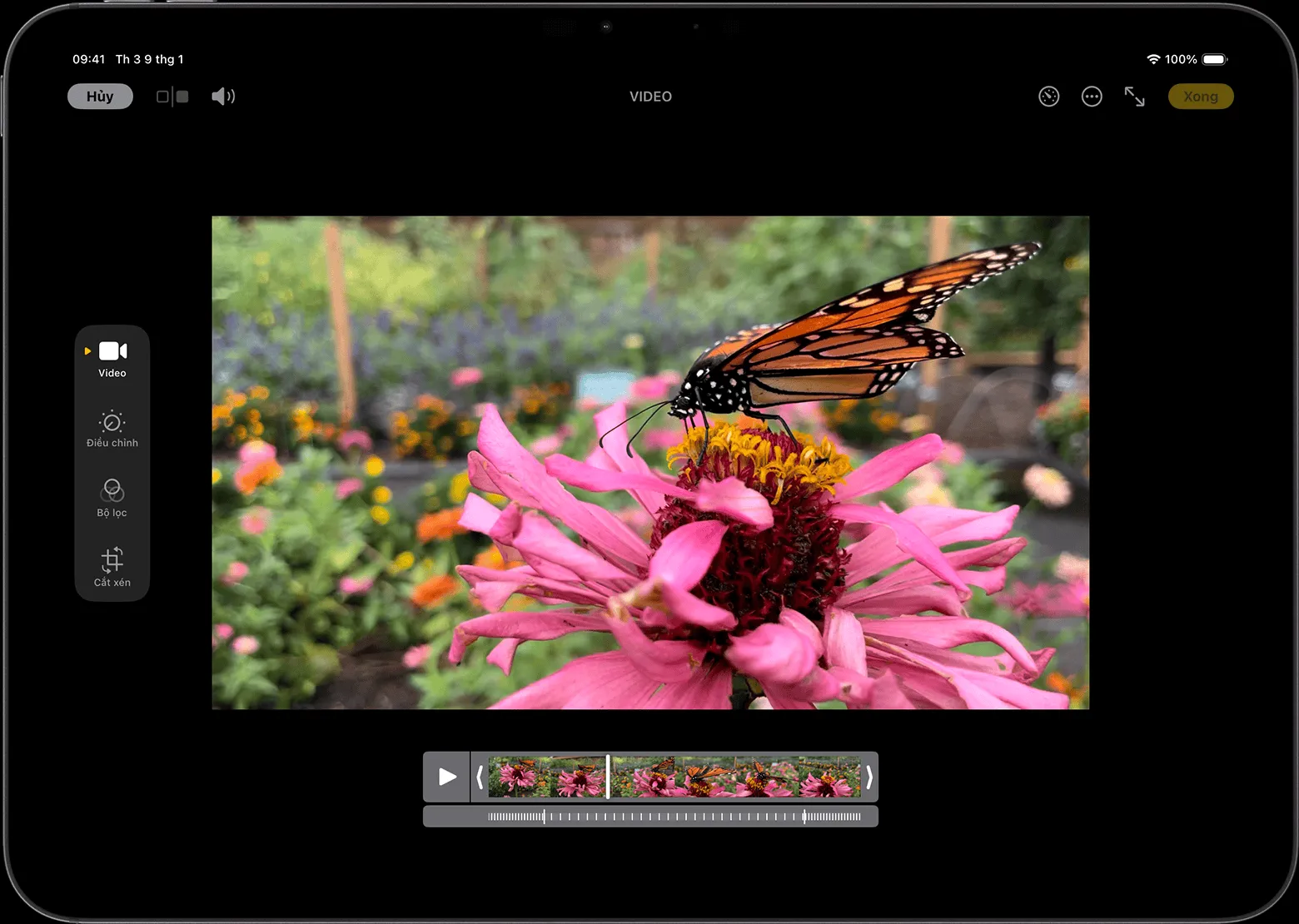 Giao diện điều chỉnh hiệu ứng chuyển động chậm cho video trên iPad