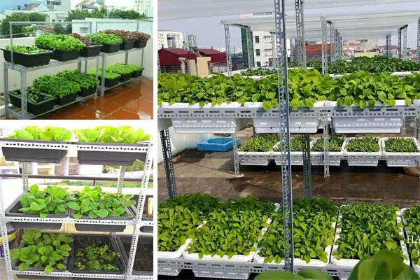 Nhân viên kỹ thuật chuyên nghiệp lắp đặt kệ sắt tự lắp ráp