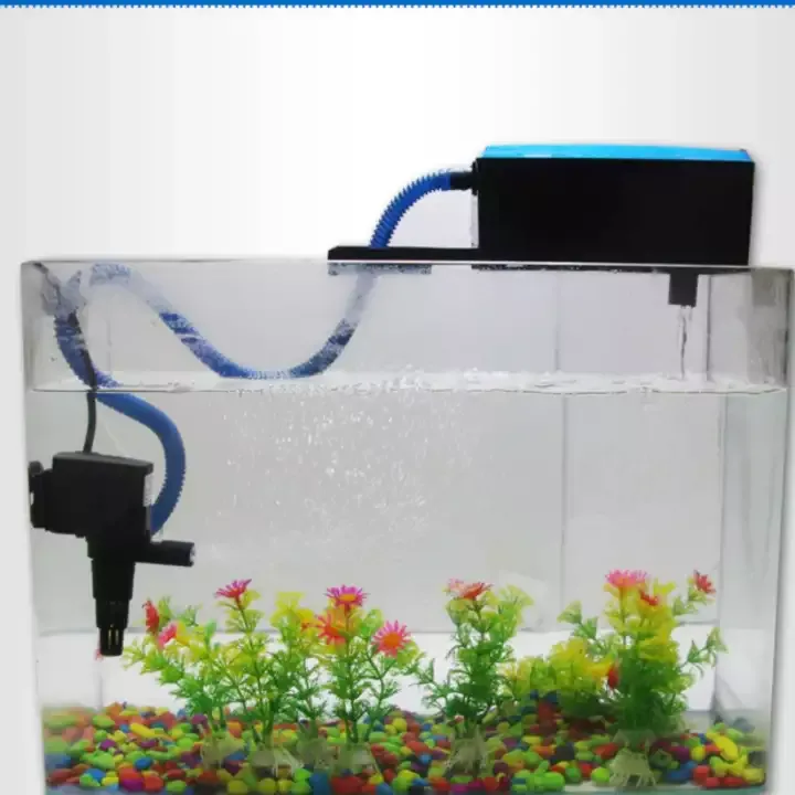 Kỹ thuật khoan lỗ trên thành hồ cá để lắp đặt đường ống