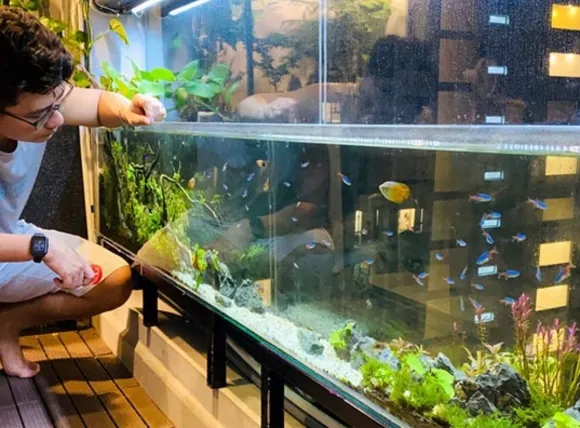 Kiểm tra chất lượng môi trường sống sau khi áp dụng cách lọc nước giếng khoan nuôi cá