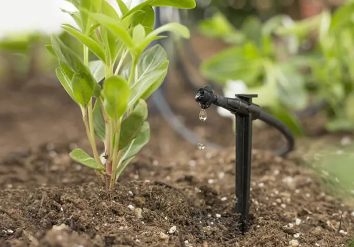 Lắp đặt hệ thống tưới nhỏ giọt cho cây cảnh và rau màu