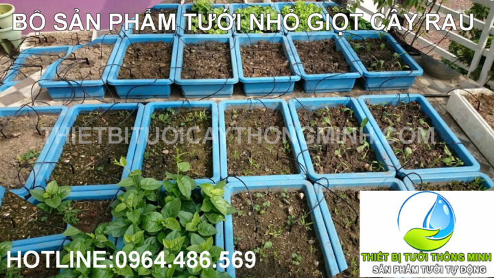 Sơ đồ đường ống tưới nhỏ giọt cho khu vực trồng rau