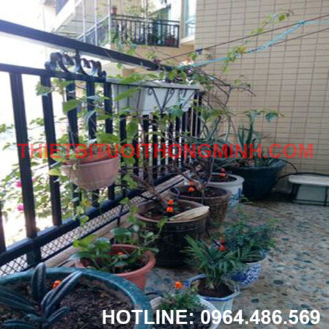 Lắp đặt hệ thống tưới tự động nhỏ giọt cho vườn rau ban công