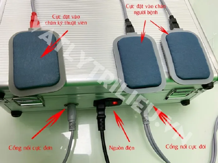Lắp ráp linh kiện máy điện sinh học DDS