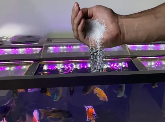 Quy trình khử trùng và loại bỏ khí độc trong nước, một bước quan trọng trong cách lọc nước giếng khoan nuôi cá