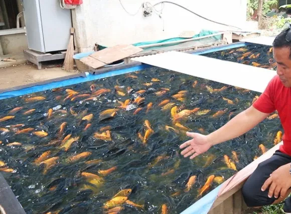 Than hoạt tính trong hệ thống lọc, một thành phần thiết yếu trong cách lọc nước giếng khoan nuôi cá