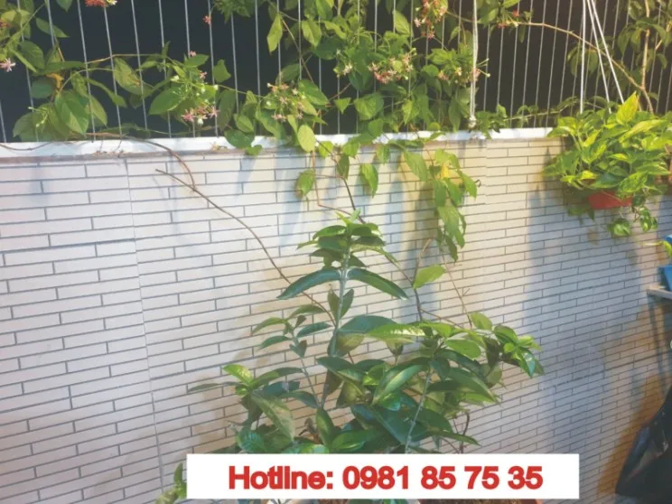 Phòng tránh tai nạn cho trẻ nhỏ bằng lưới an toàn ban công